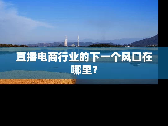 直播电商行业的下一个风口在哪里？