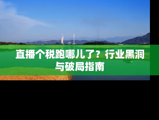 直播个税跑哪儿了？行业黑洞与破局指南