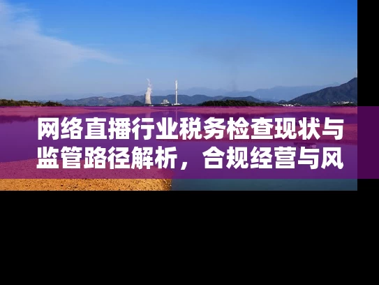 网络直播行业税务检查现状与监管路径解析，合规经营与风险防范如何平衡