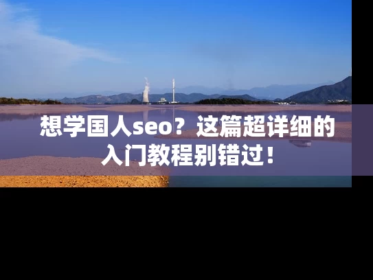 想学国人seo？这篇超详细的入门教程别错过！