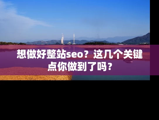 想做好整站seo？这几个关键点你做到了吗？