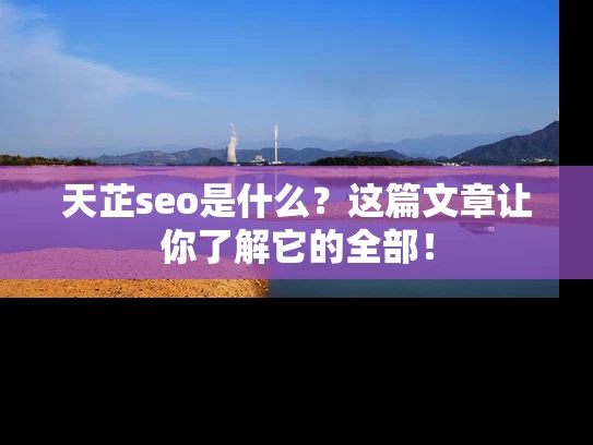 天芷seo是什么？这篇文章让你了解它的全部！