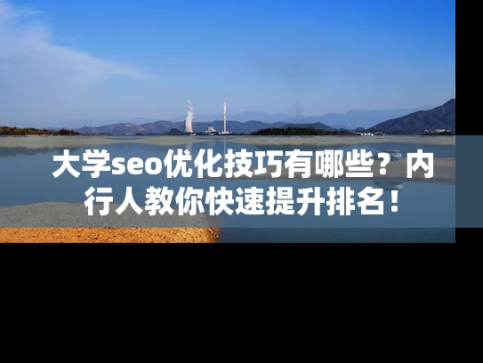 大学seo优化技巧有哪些？内行人教你快速提升排名！