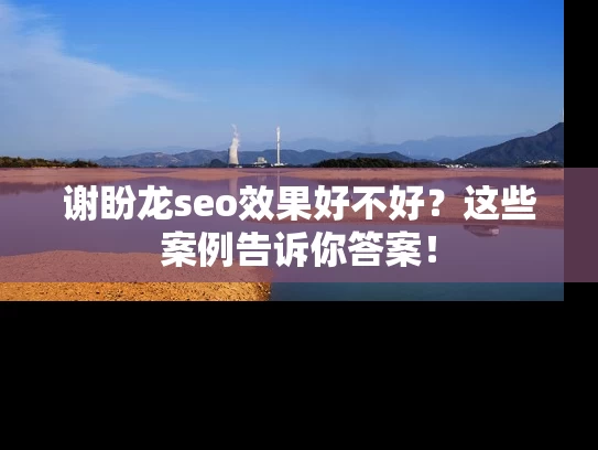 谢盼龙seo效果好不好？这些案例告诉你答案！