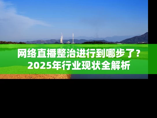 网络直播整治进行到哪步了？2025年行业现状全解析