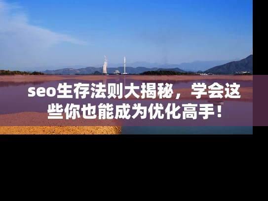 seo生存法则大揭秘，学会这些你也能成为优化高手！