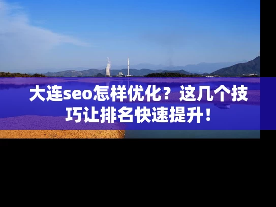 大连seo怎样优化？这几个技巧让排名快速提升！