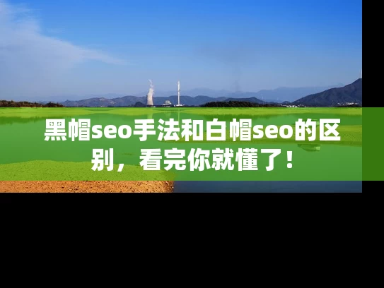 黑帽seo手法和白帽seo的区别，看完你就懂了！