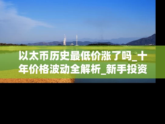 以太币历史最低价涨了吗_十年价格波动全解析_新手投资必看