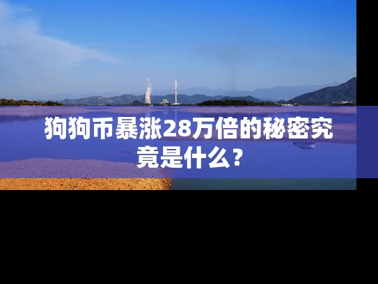 狗狗币暴涨28万倍的秘密究竟是什么？