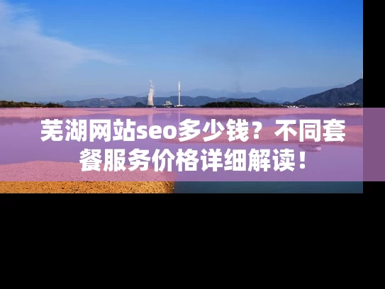 芜湖网站seo多少钱？不同套餐服务价格详细解读！