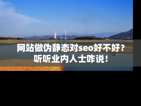 网站做伪静态对seo好不好？听听业内人士咋说！