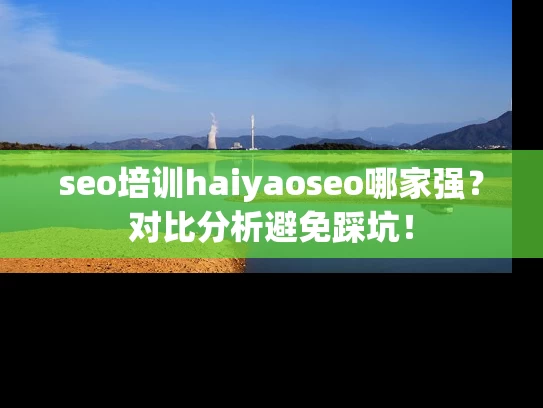 seo培训haiyaoseo哪家强？对比分析避免踩坑！
