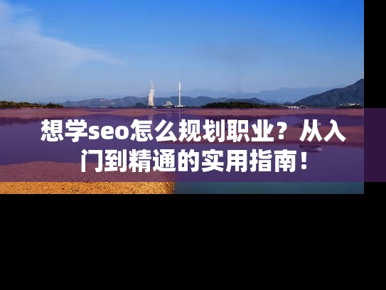 想学seo怎么规划职业？从入门到精通的实用指南！