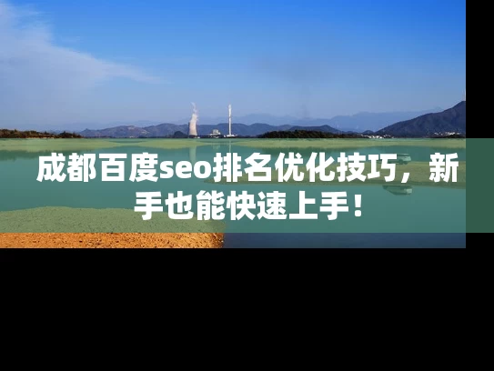 成都百度seo排名优化技巧，新手也能快速上手！