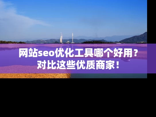 网站seo优化工具哪个好用？对比这些优质商家！