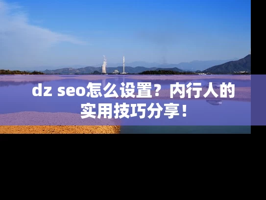 dz seo怎么设置？内行人的实用技巧分享！