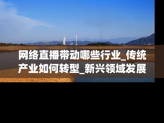 网络直播带动哪些行业_传统产业如何转型_新兴领域发展路径
