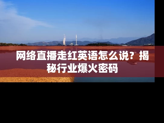 网络直播走红英语怎么说？揭秘行业爆火密码