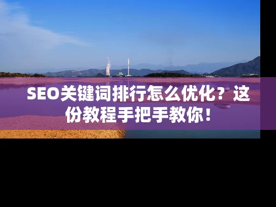 SEO关键词排行怎么优化？这份教程手把手教你！