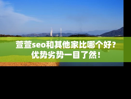 萱萱seo和其他家比哪个好？优势劣势一目了然！