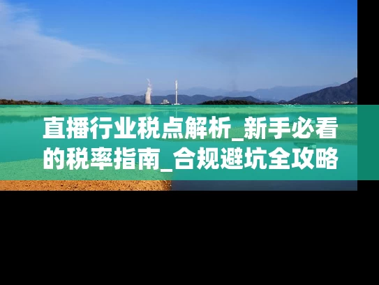 直播行业税点解析_新手必看的税率指南_合规避坑全攻略