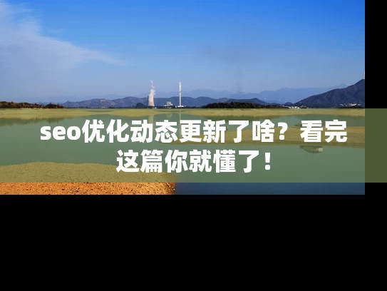 seo优化动态更新了啥？看完这篇你就懂了！
