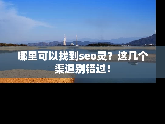 哪里可以找到seo灵？这几个渠道别错过！