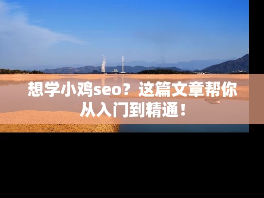 想学小鸡seo？这篇文章帮你从入门到精通！