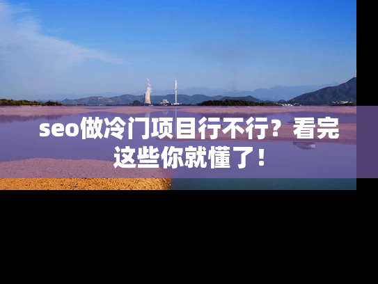 seo做冷门项目行不行？看完这些你就懂了！