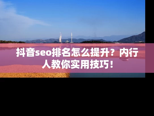 抖音seo排名怎么提升？内行人教你实用技巧！