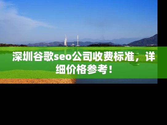 深圳谷歌seo公司收费标准，详细价格参考！
