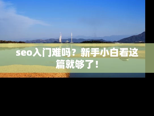 seo入门难吗？新手小白看这篇就够了！
