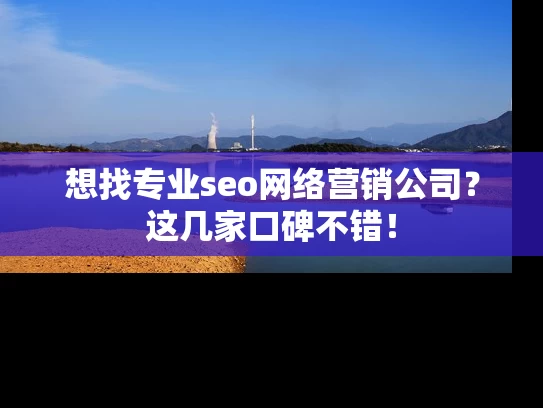 想找专业seo网络营销公司？这几家口碑不错！