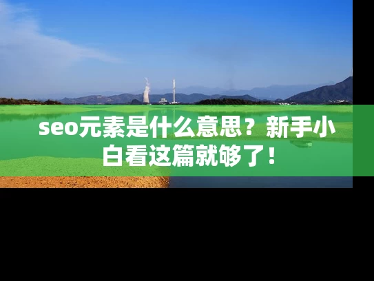 seo元素是什么意思？新手小白看这篇就够了！