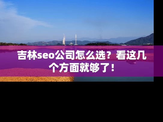 吉林seo公司怎么选？看这几个方面就够了！
