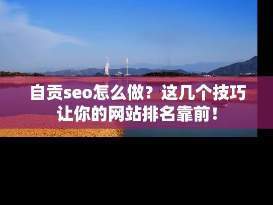 自贡seo怎么做？这几个技巧让你的网站排名靠前！