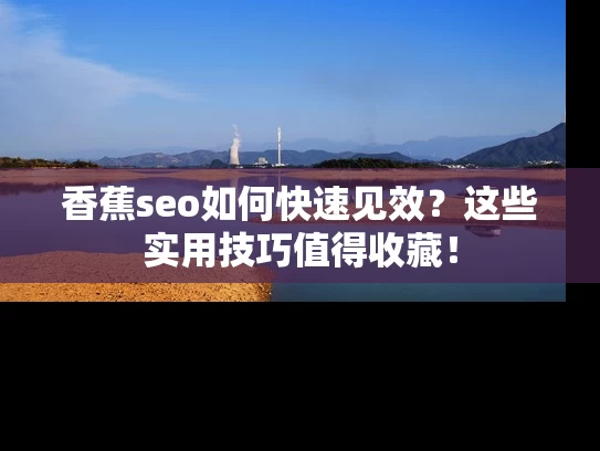 香蕉seo如何快速见效？这些实用技巧值得收藏！