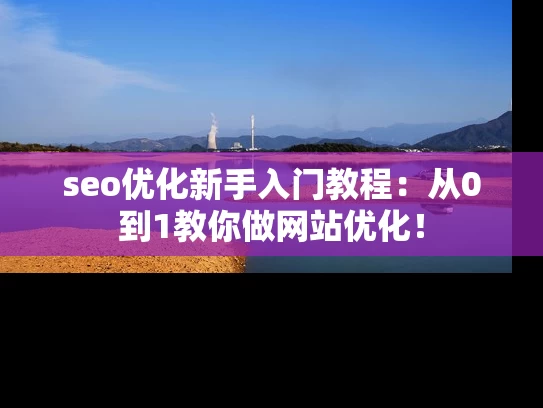seo优化新手入门教程：从0到1教你做网站优化！