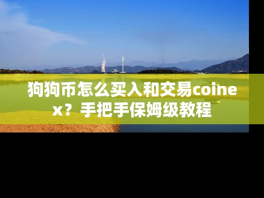 狗狗币怎么买入和交易coinex？手把手保姆级教程