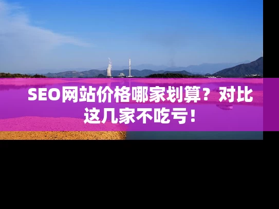 SEO网站价格哪家划算？对比这几家不吃亏！