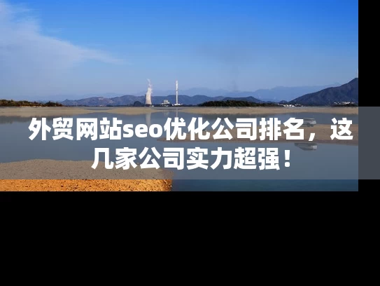 外贸网站seo优化公司排名，这几家公司实力超强！