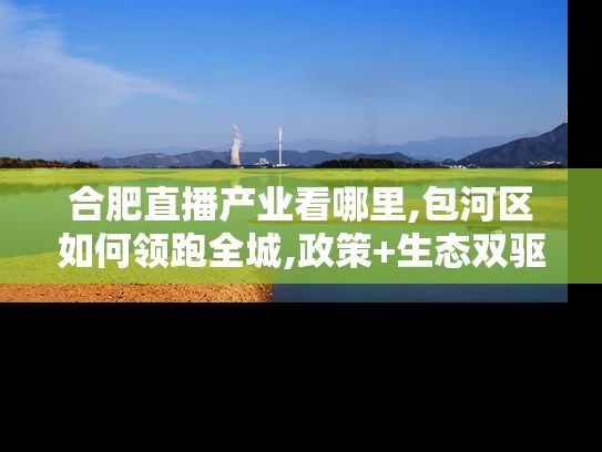 合肥直播产业看哪里,包河区如何领跑全城,政策+生态双驱动