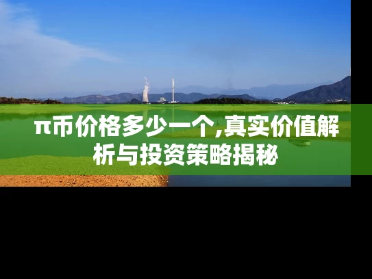 π币价格多少一个,真实价值解析与投资策略揭秘