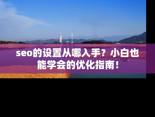 seo的设置从哪入手？小白也能学会的优化指南！