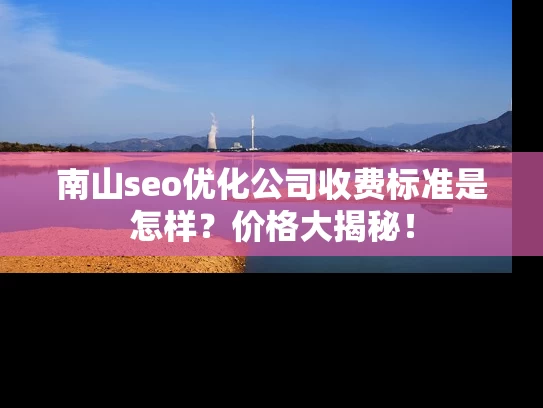 南山seo优化公司收费标准是怎样？价格大揭秘！