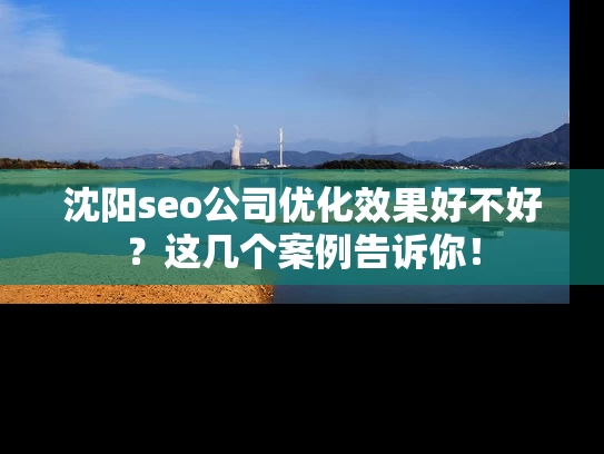 沈阳seo公司优化效果好不好？这几个案例告诉你！