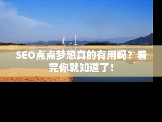 SEO点点梦想真的有用吗？看完你就知道了！