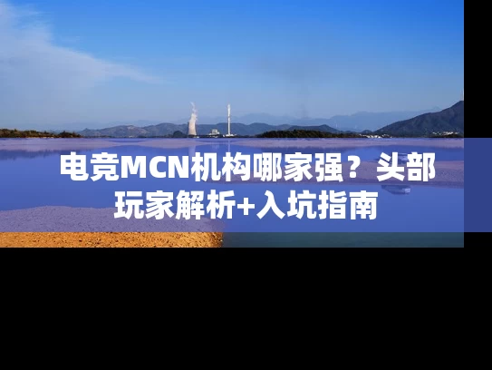 电竞MCN机构哪家强?头部玩家解析+入坑指南 电竞MCN机构哪家强?头部玩家解析+入坑指南