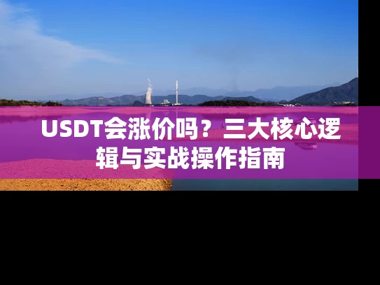 USDT会涨价吗?三大核心逻辑与实战操作指南 USDT会涨价吗?三大核心逻辑与实战操作指南